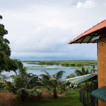 Bundala Flamingo Cotteges Hotell Hambantota Exteriör bild