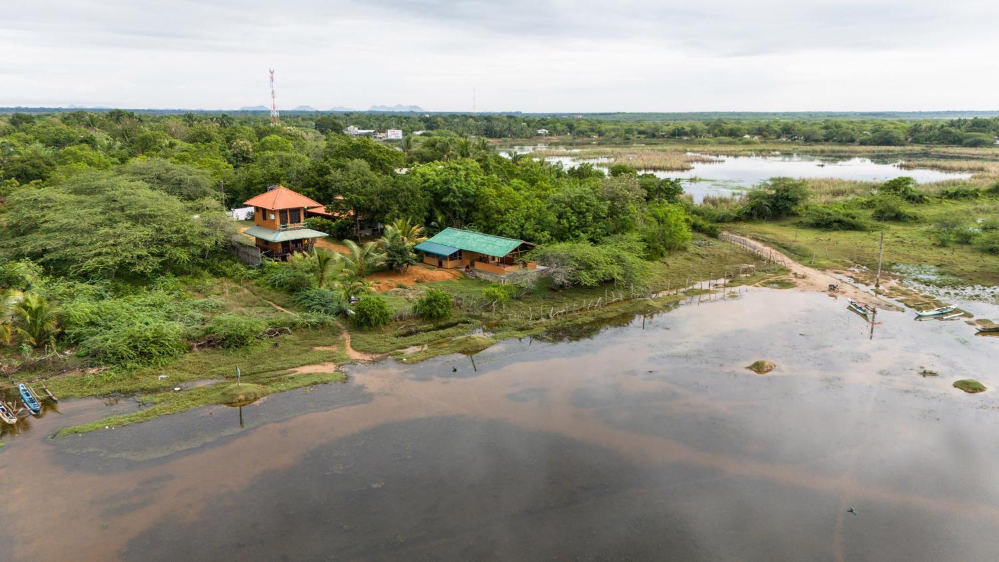 Bundala Flamingo Cotteges Hotell Hambantota Exteriör bild