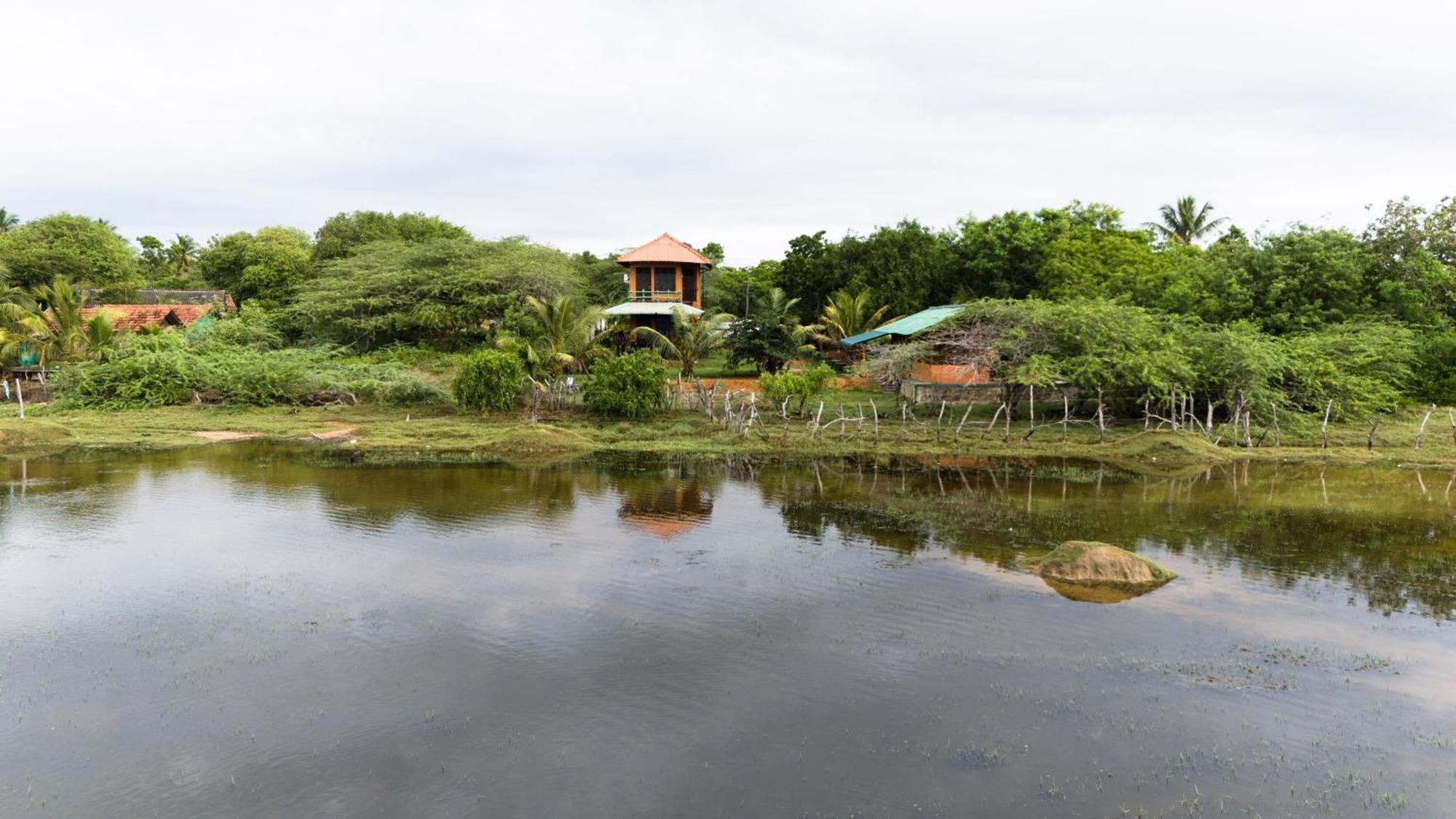 Bundala Flamingo Cotteges Hotell Hambantota Exteriör bild